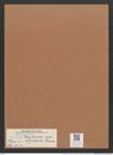 Navicula gastrum var. styriaca Grun. (de-Toni-Nr.: Genus 1, Species 131) Zeichnungen Sammlung Grunow Mappe 00117 (Herbarium_W_Grunow_drawings_Folder_00117)